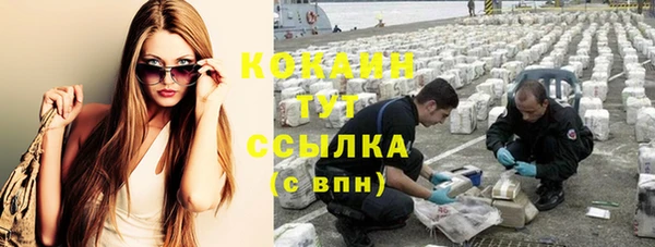 кокс Арсеньев