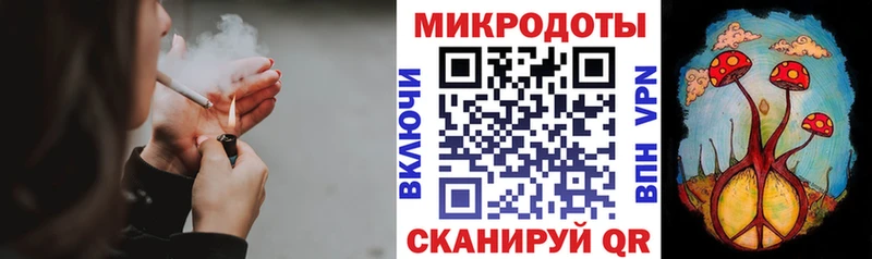 Псилоцибиновые грибы Cubensis Рошаль